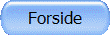 Forside